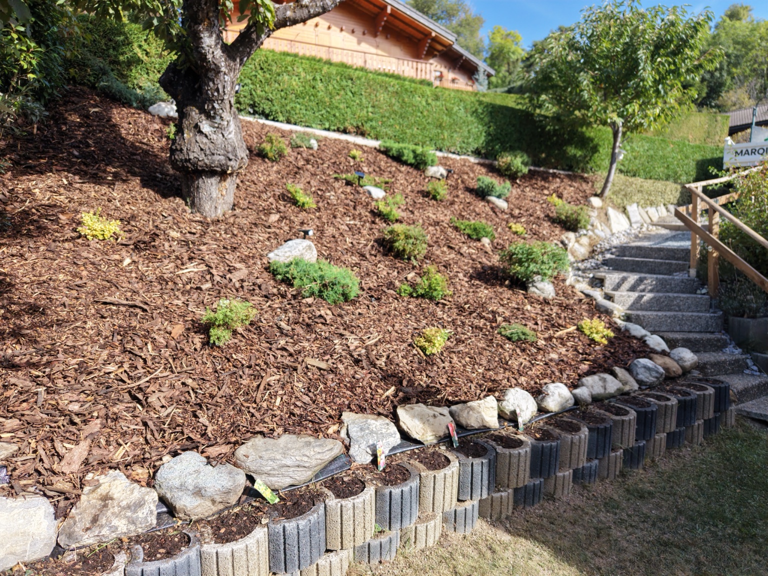 Talus rénové avec plantations et paillage, vu de jour